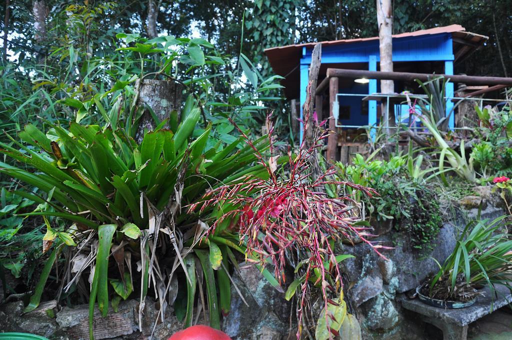 Pousada Ecologica Lua Bonita Do Nero Macacos  Exterior foto